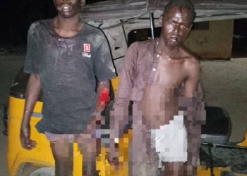 POLICE ARREST SHILLA BOYS FOR ARMED ROBBERY IN ADAMAWA