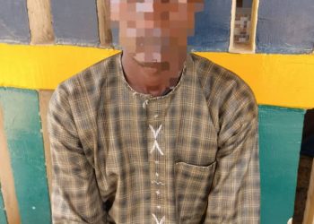 Adamawa Police Probe Two Domestic Homicide Cases