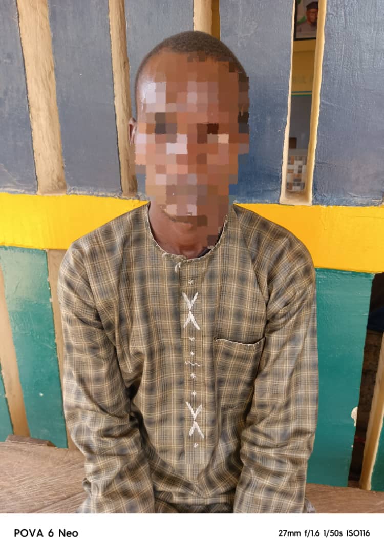 Adamawa Police Probe Two Domestic Homicide Cases