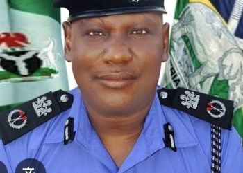 Adamawa Police Condemn Arson Attacks in Lamurde, Guyuk LGA