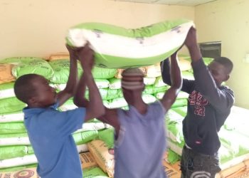 Senator Binos, FG, Alkaf Distribute Over 1,000 Bags of Fertilizer to Farmers in Adamawa South