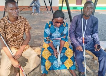 Physically Disabled, Not Intellectually Impaired – Adamawa Disabled Youth Network Urges Govt for Inclusive