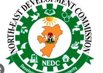 ‎NEDC to Launch Electric Vehicles, Health Insurance Scheme in Adamawa