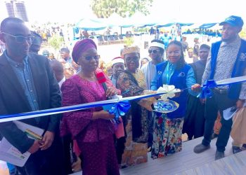 IOM, JICA Hand Over Newly Constructed Primary Health Centres to Adamawa Government