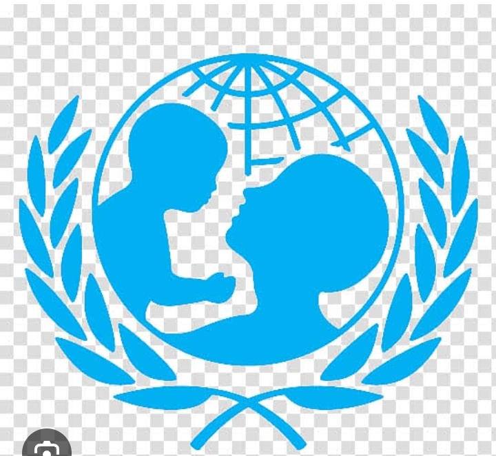 Adamawa Partners UNICEF, ECW to Return Thousands of Out-of-School Children to Classrooms